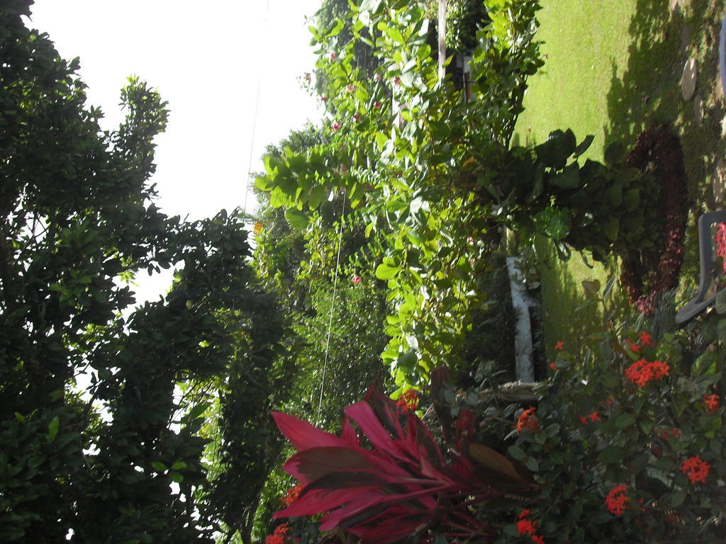 Hotel Posada Koniapan Catemaco Exterior foto